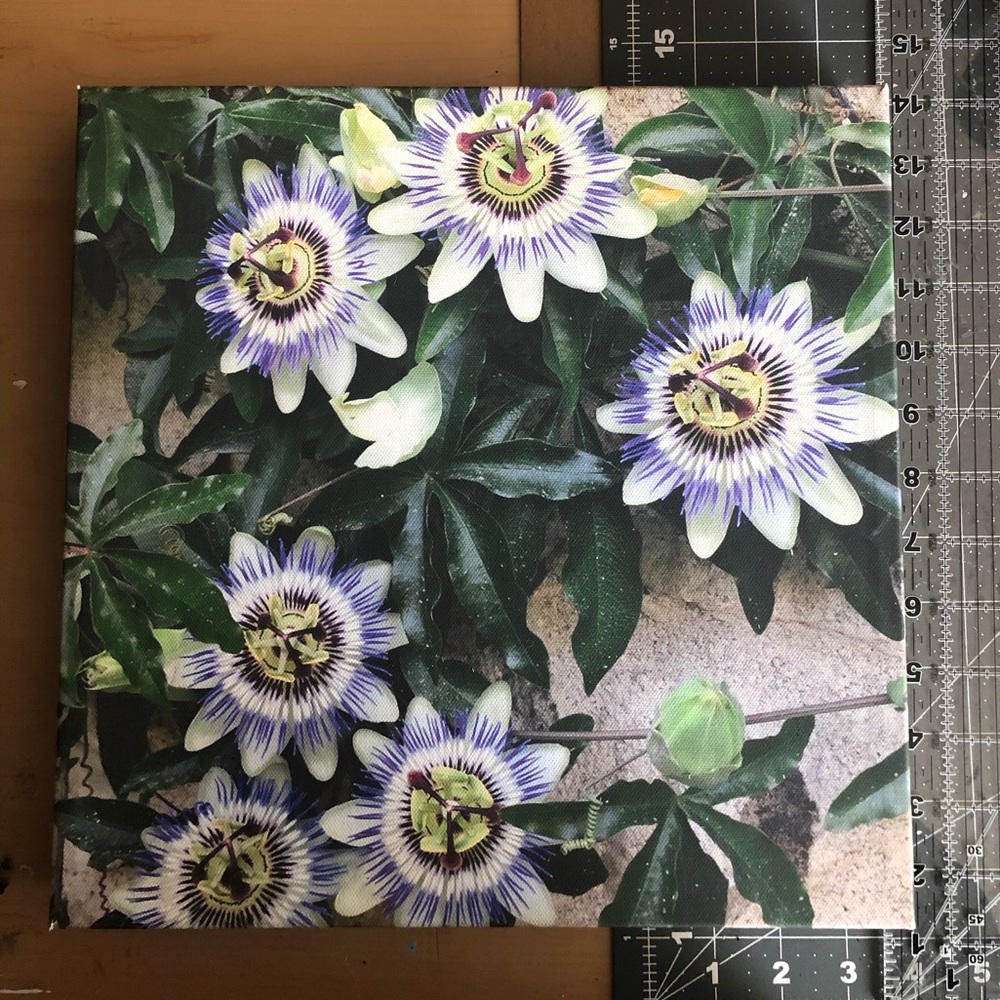 2 canvas